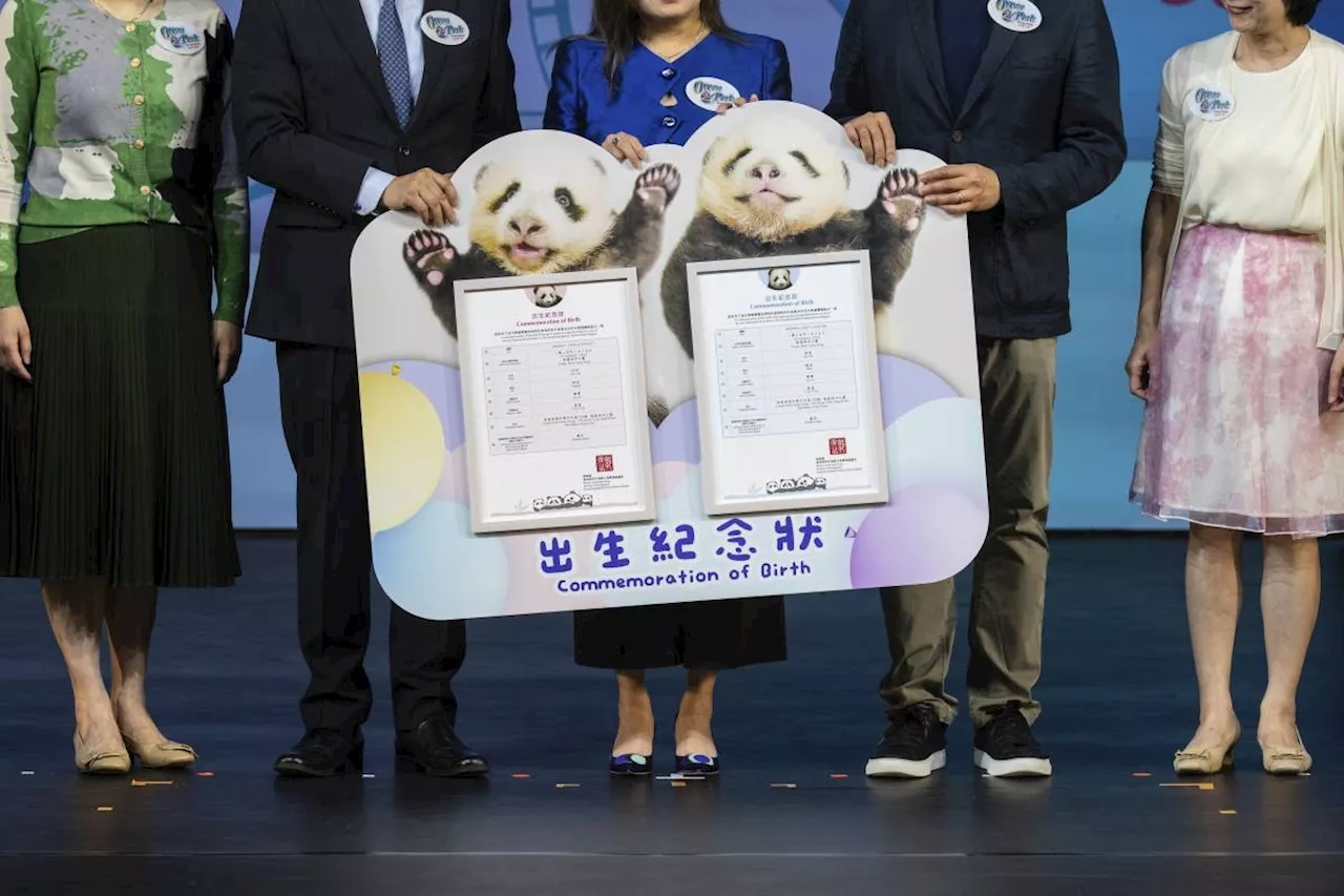 Hong Kong's baby pandas finally get names. Meet Jia Jia and De De