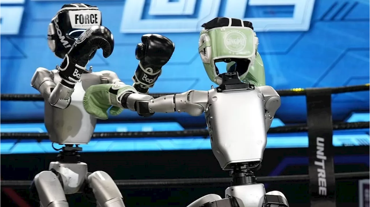 Estos robots se agarraron a las piñas: así fue el torneo de kickboxing protagonizado por máquinas