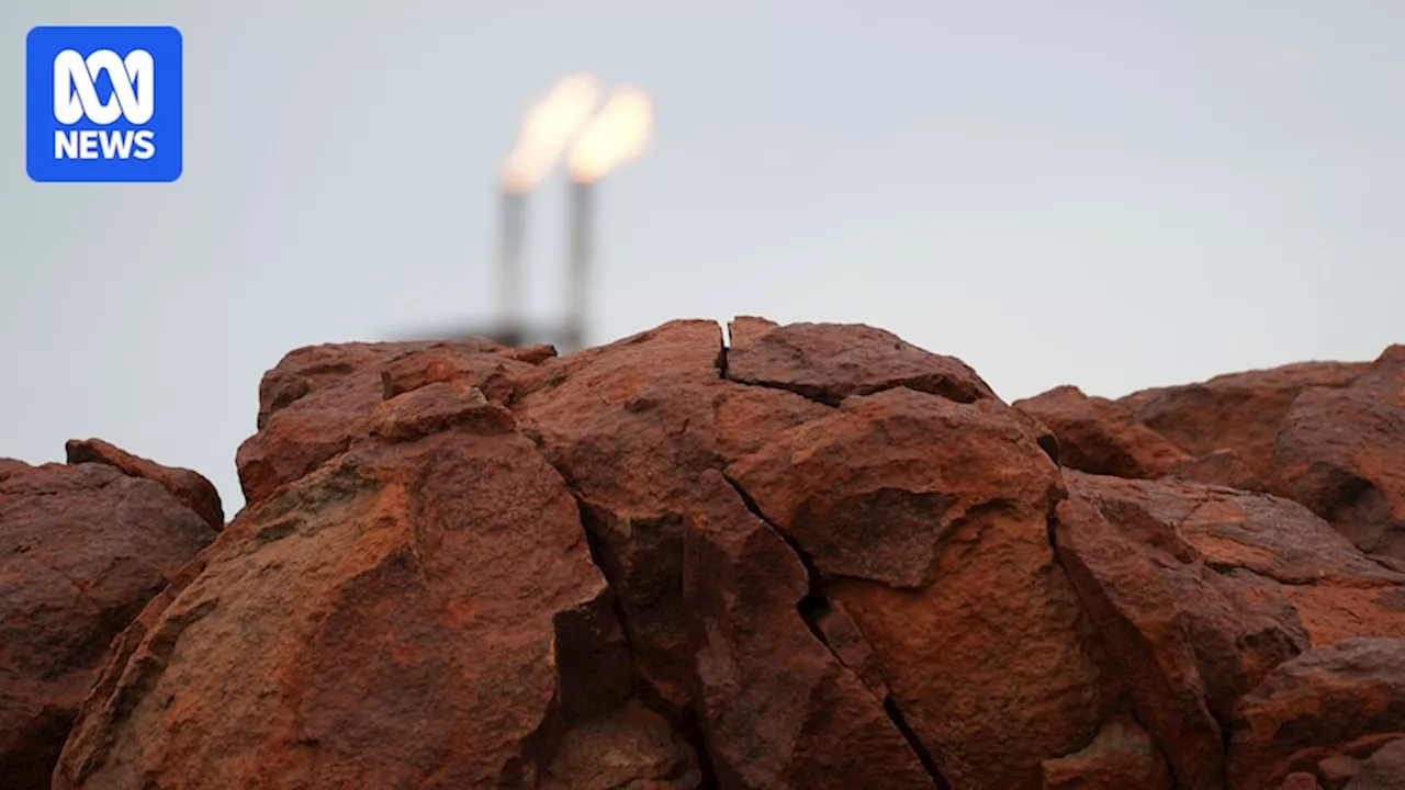 What Murray Watt's North West Shelf gas decision means for Woodside's WA operations