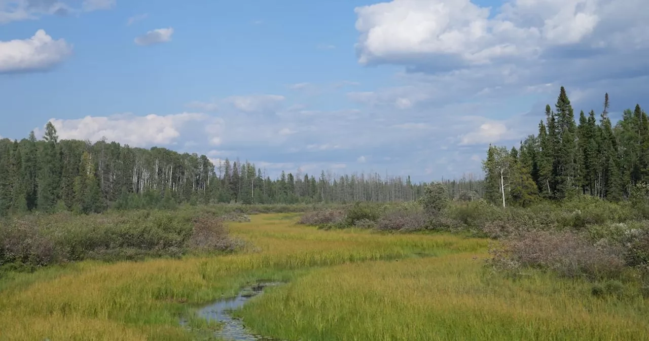 Ontario to amend mining bill, add Indigenous economic zones amid First Nations uproar