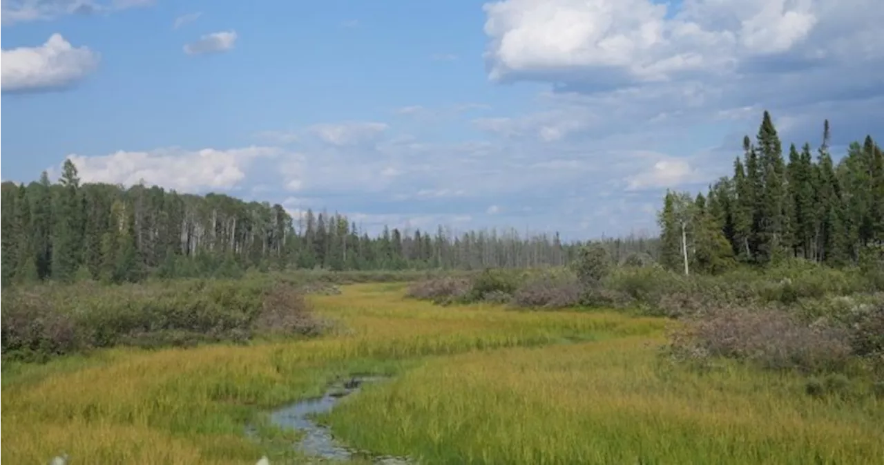 Ontario to amend mining bill, add Indigenous economic zones amid First Nations uproar