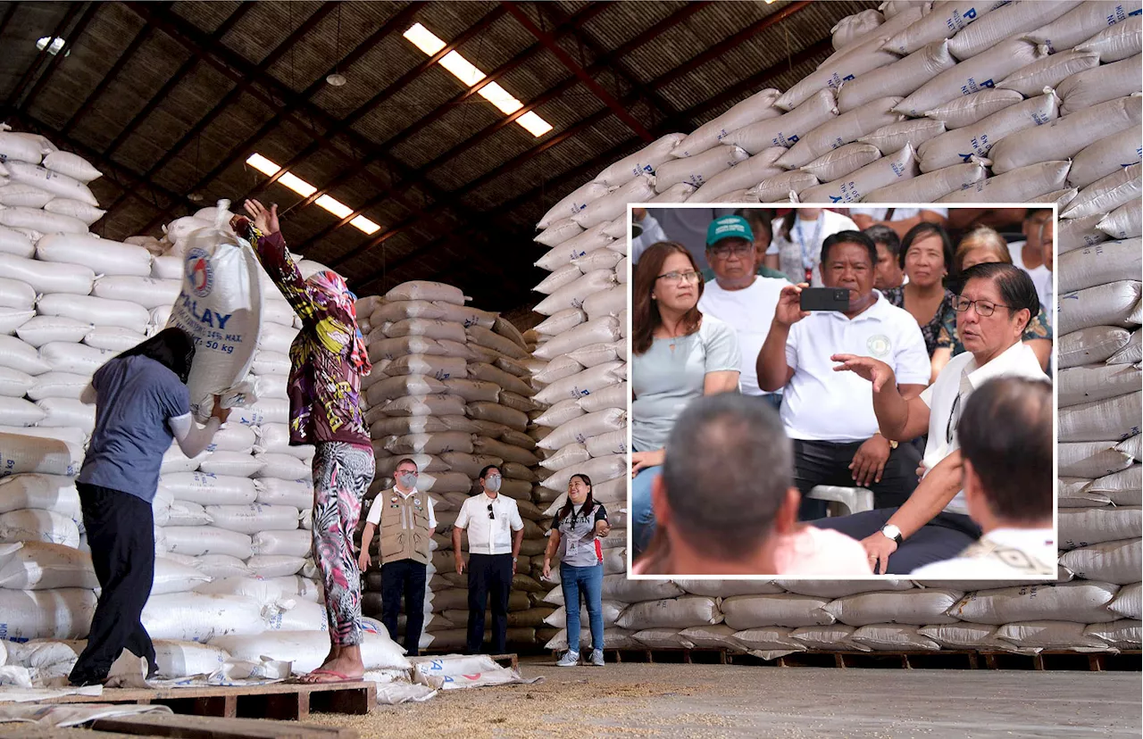 P20/k rice sustainable, says PBBM