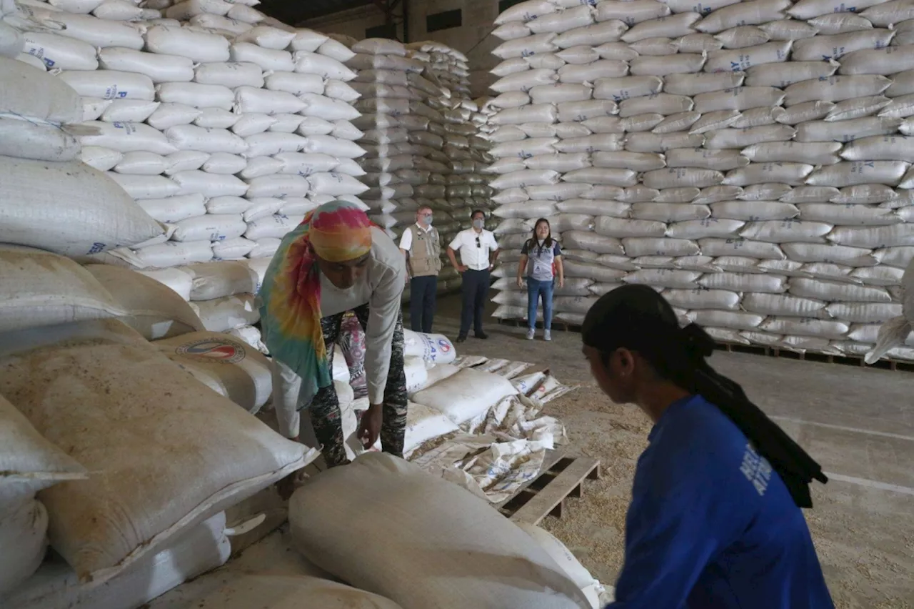 P20 rice program to last until 2028, Marcos says