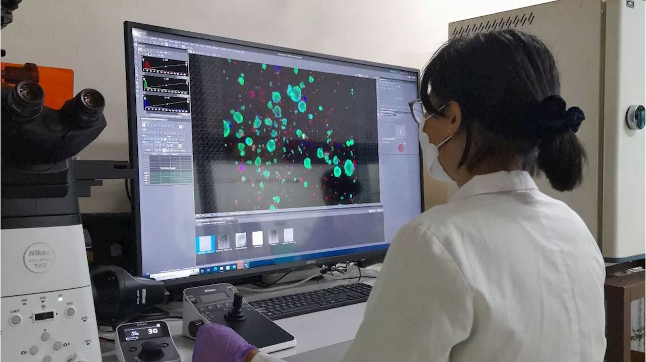 Study detects early breast cancer metastasis