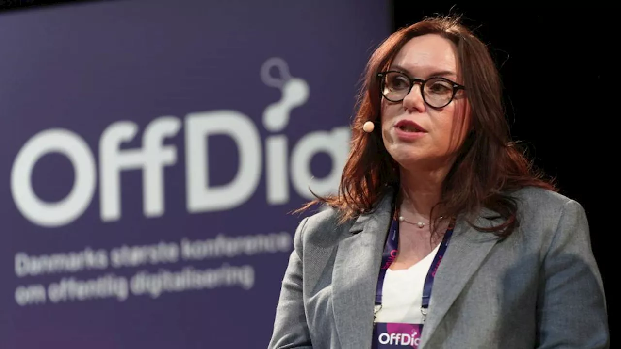 Kæmpe sammenlægning presser kommunernes it-folk: »Vanskeligt at se, at det kan lade sig gøre«