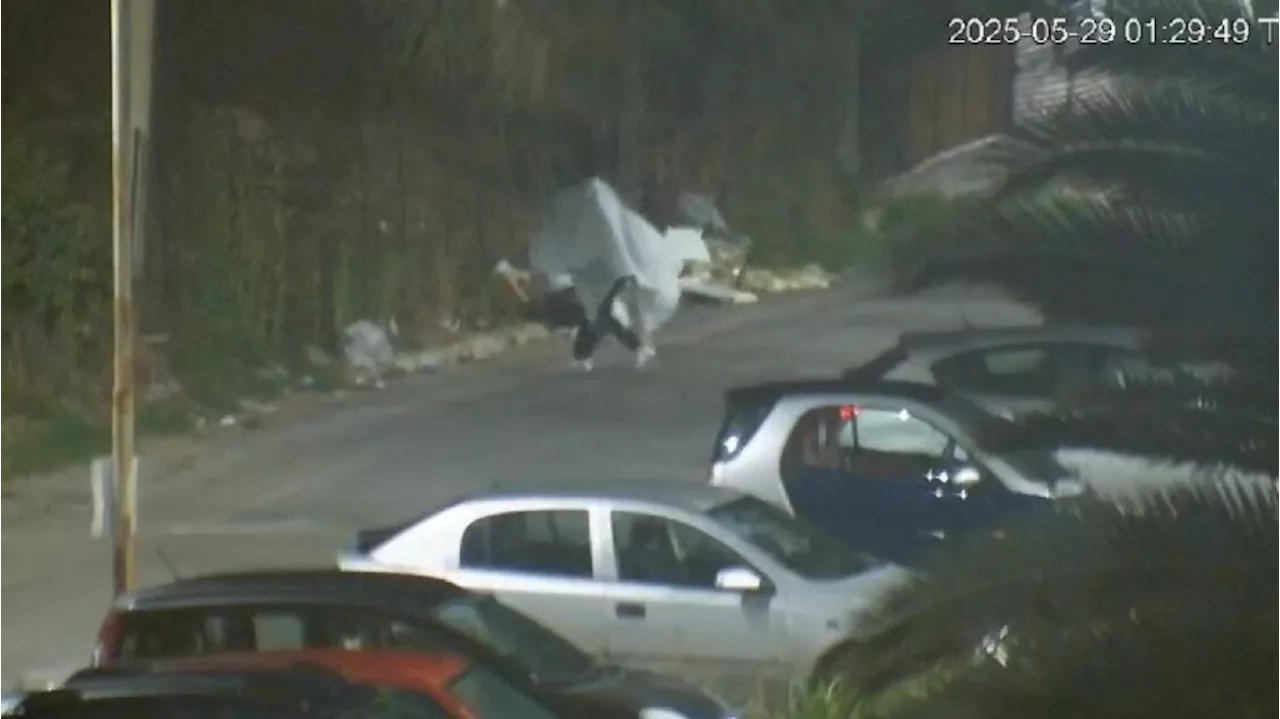 'Fantasma' getta rifiuti illegalmente, filmato e multato