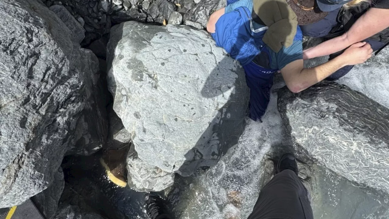 Alaska man unscathed after being pinned by 700-pound boulder in glacier creek