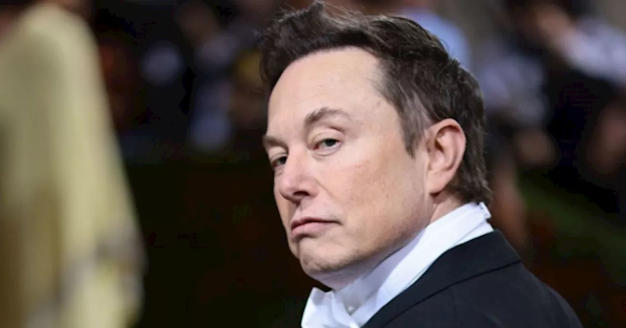 Elon Musk lo confirmó: las carreras que no hay que estudiar y serán reemplazadas por la IA