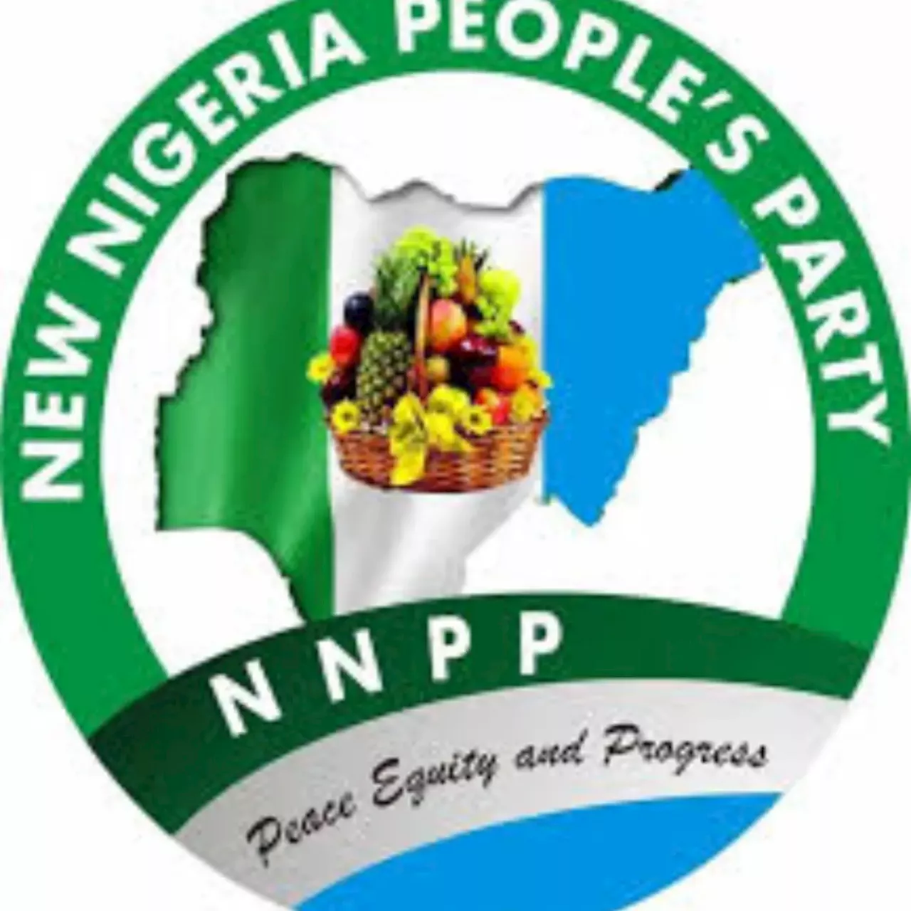 Coalition: Ex-presidential candidates can’t speak for parties