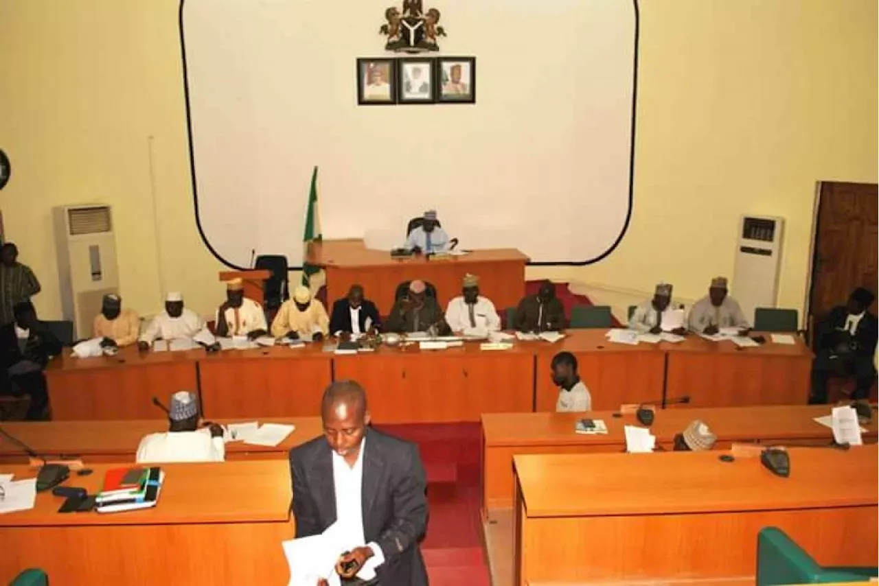 Niger Assembly orders LG chairmen to remit sales proceeds of grains in 24 hours