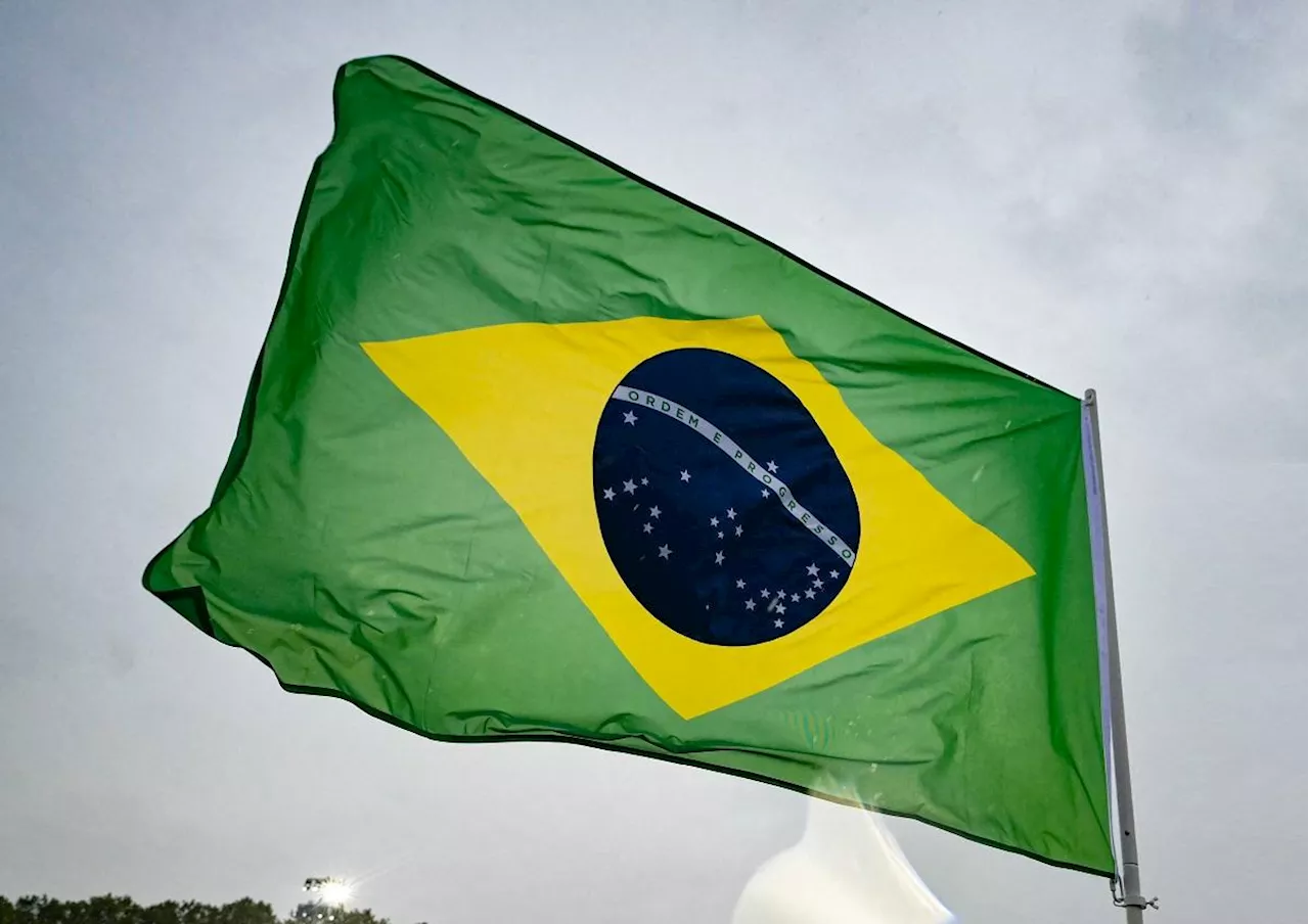 Brazil declared free of foot-and-mouth disease without vaccination