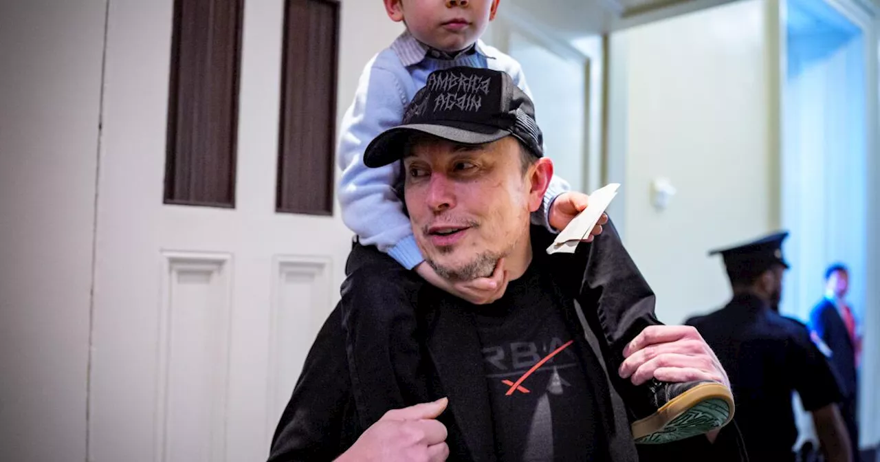 As Musk exits, he sees his projects unraveling, inside and outside government