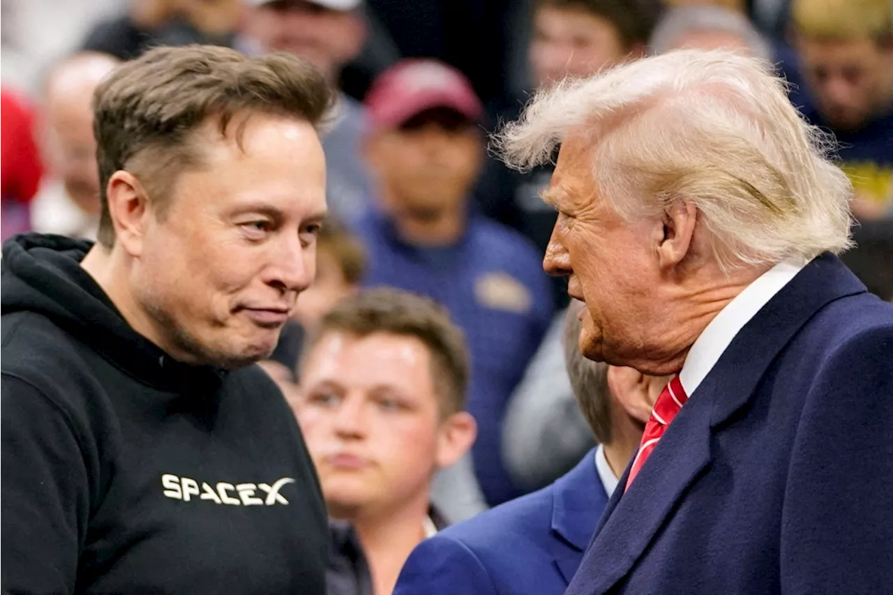‘Swasticars’, chainsaws and MAGA: Elon Musk's turbulent White House stint ends in high-profile resignation