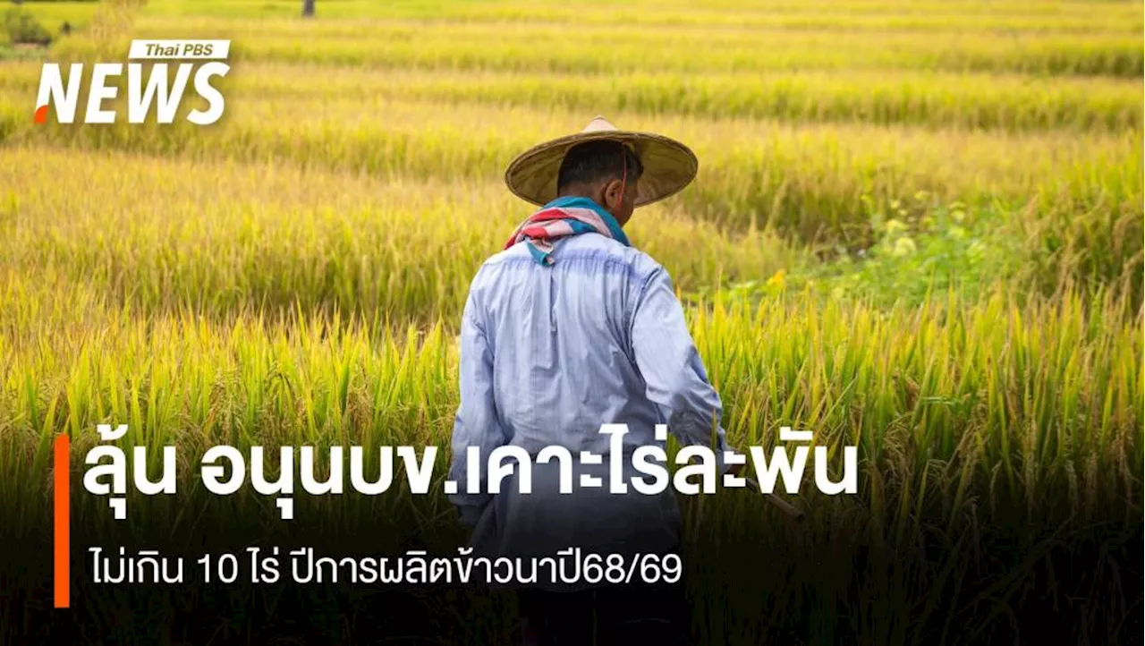 ลุ้น อนุนบข.เคาะไร่ละพัน ไม่เกิน 10 ไร่ ปีการผลิตข้าวนาปี68/69