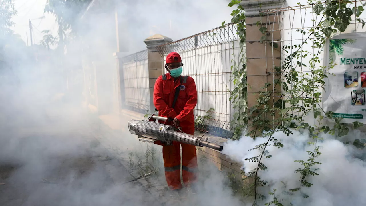 Dengue nel Comasco, disinfestazione fino al 5 maggio