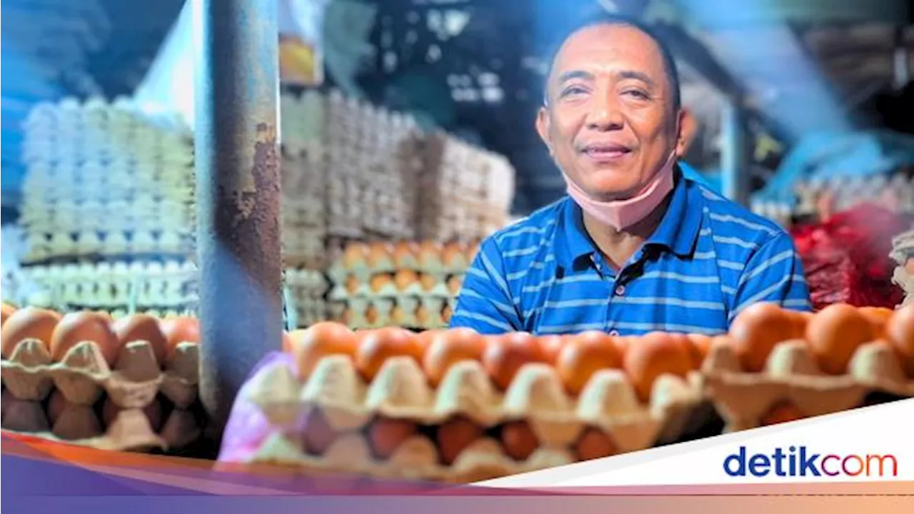 Warga Tarakan Didenda Rp 19 Juta atas Dugaan Curi Listrik, Ini Penjelasan PLN