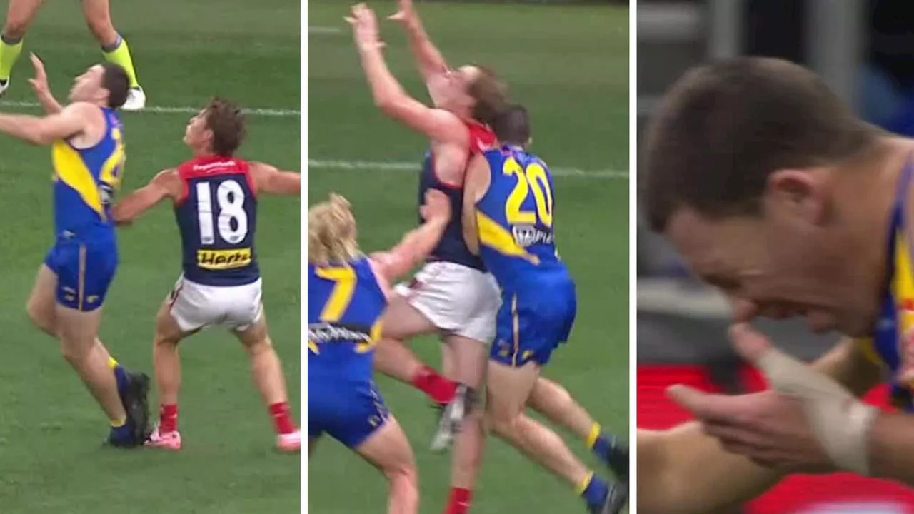 ‘The AFL have created this’: Greats divided as forward to cop ‘weeks’ ban for contentious act