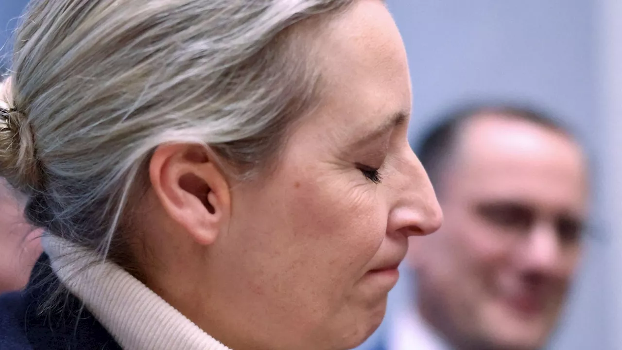 Umfrage in Deutschland - Dämpfer für AfD – Union mit 25 Prozent voran