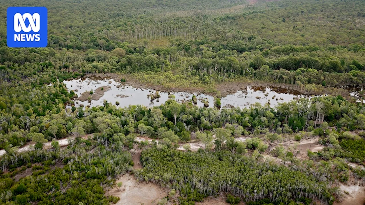 Suspected boat arrivals from China discovered in Arnhem Land