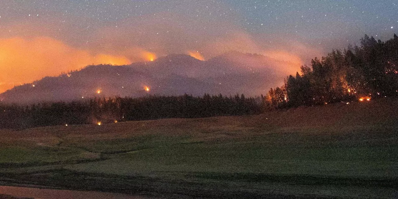 'Nowhere Is Safe': Scientists Sound Alarm as Killer Heat Rages in Pacific Northwest