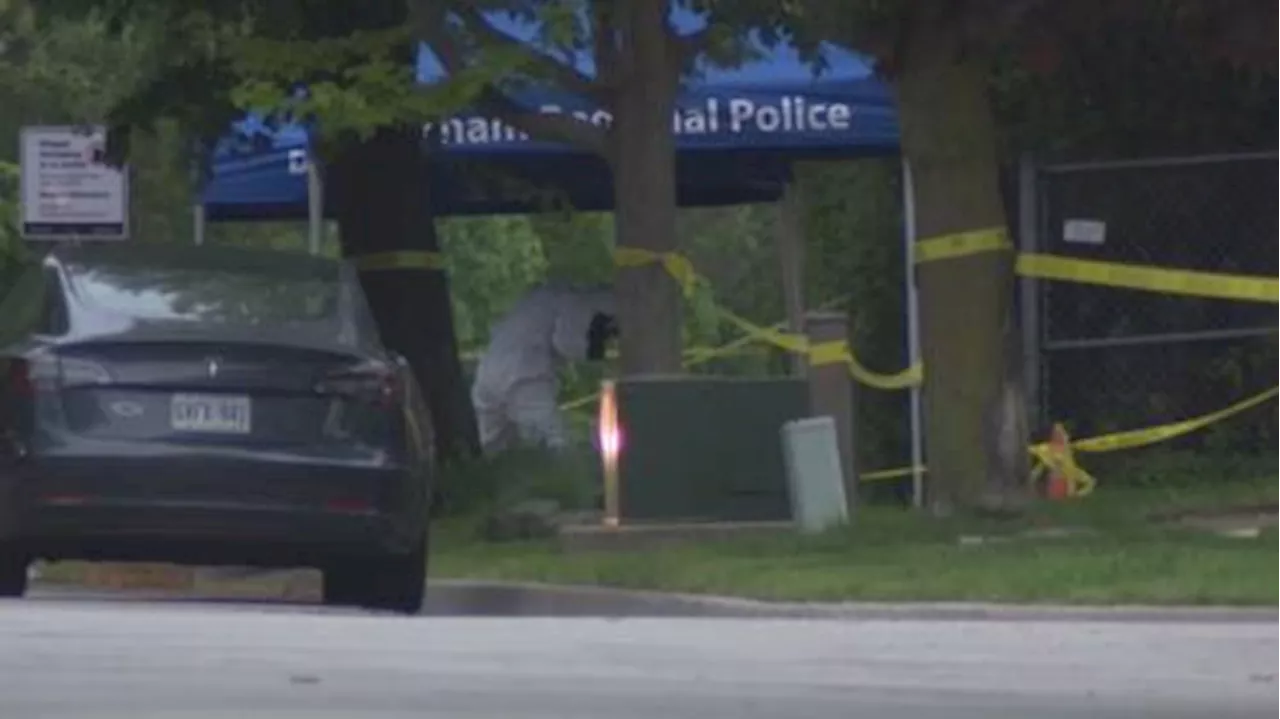 14-year-old faces 1st degree murder charge after ‘random’ attack on Pickering senior