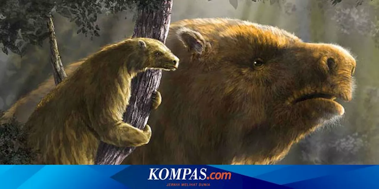 Misteri Sloth Raksasa: Mengapa Mereka Mengecil dan Menghilang