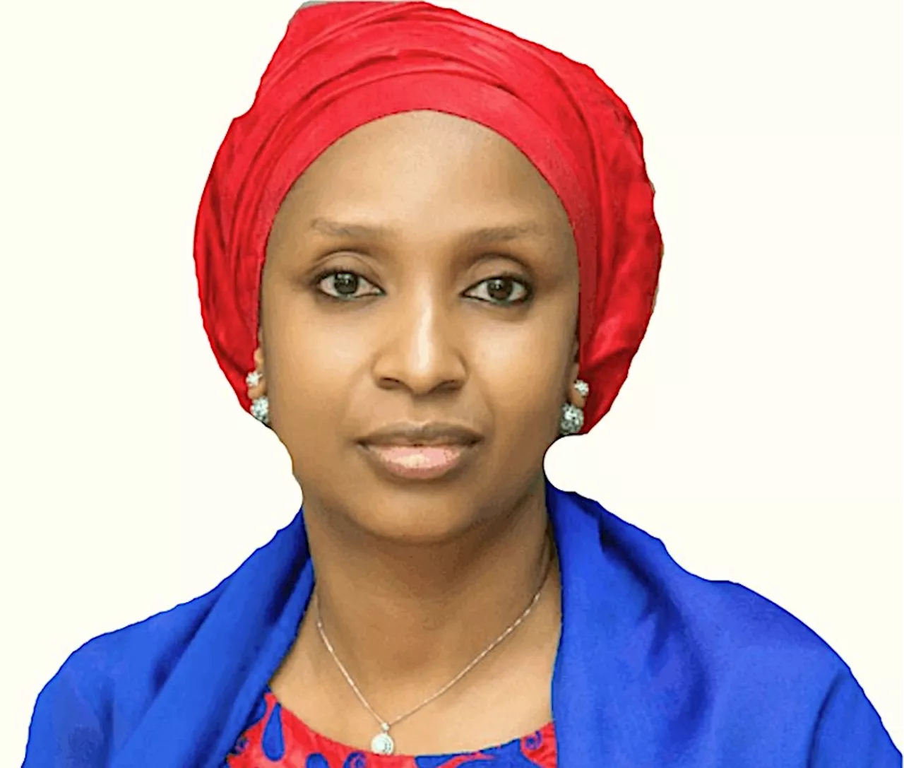 How BUA Group persistently violated its contractual obligations to Nigeria, By Hadiza Bala Usman