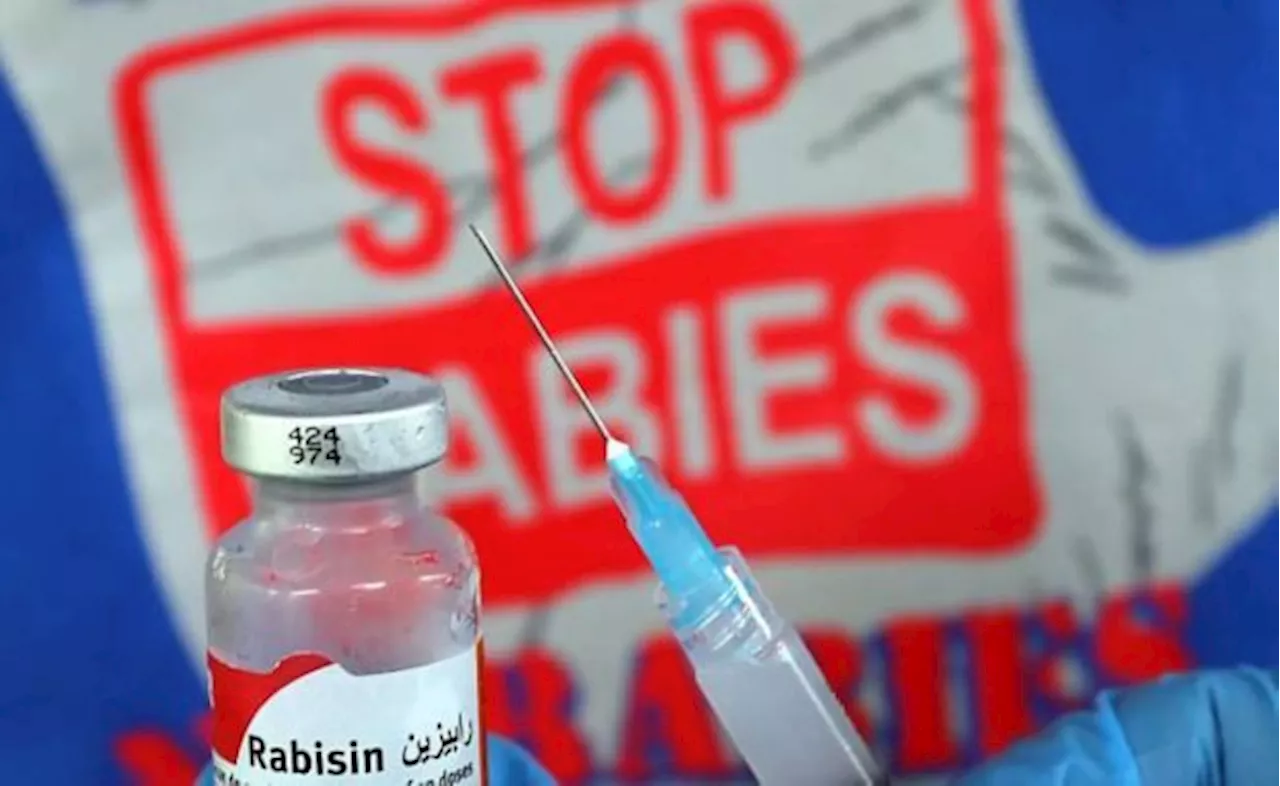 Sarawak anti-rabies vaccinations to include cats, says Deputy Premier