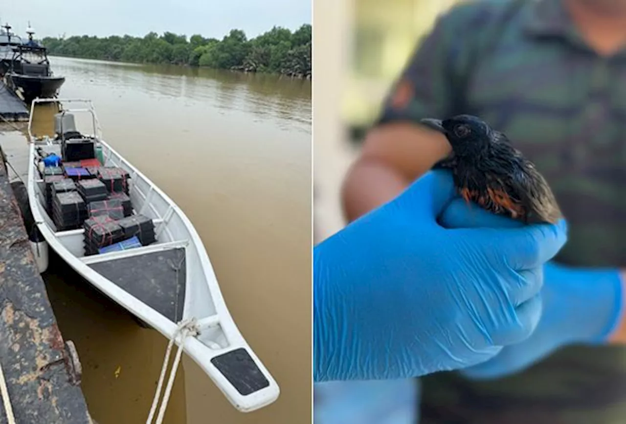 Two men caught smuggling RM100,000 worth of exotic birds in Johor