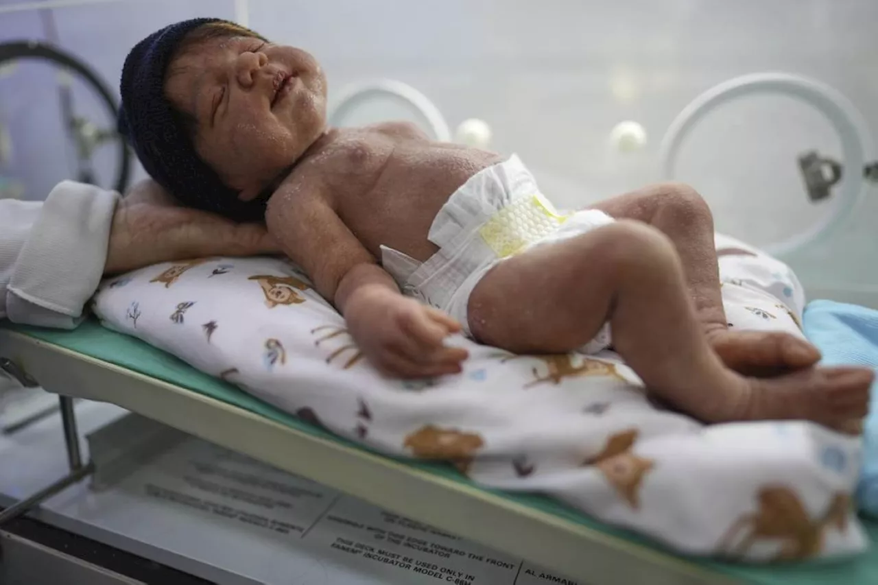 Brazil's lifelike doll craze goes from malls to legislatures
