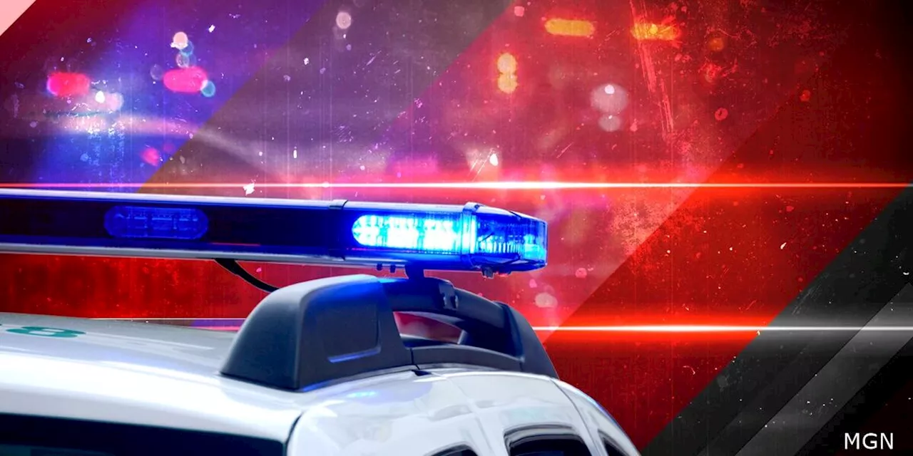 5 arrested following business thefts, vehicle pursuit in Auburn
