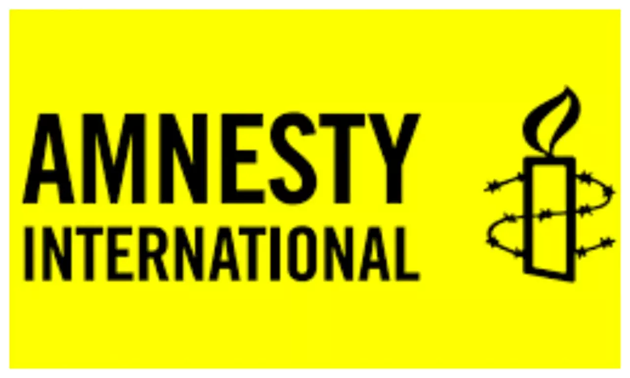 Public Affairs Analyst faults Amnesty Int’l’s report on Nigeria’s security concerns