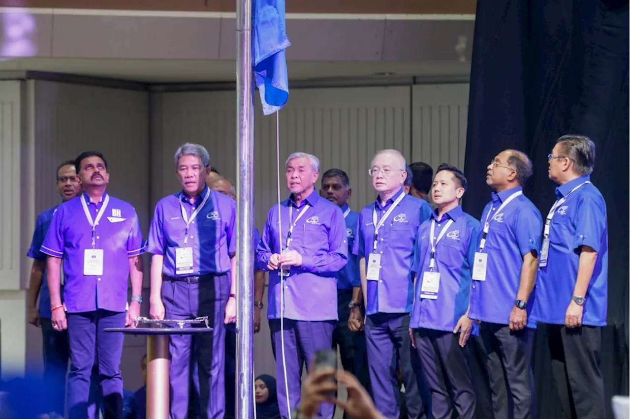 Umno leader denies MCA sidelined in favour of DAP, says party still active in BN and state govts