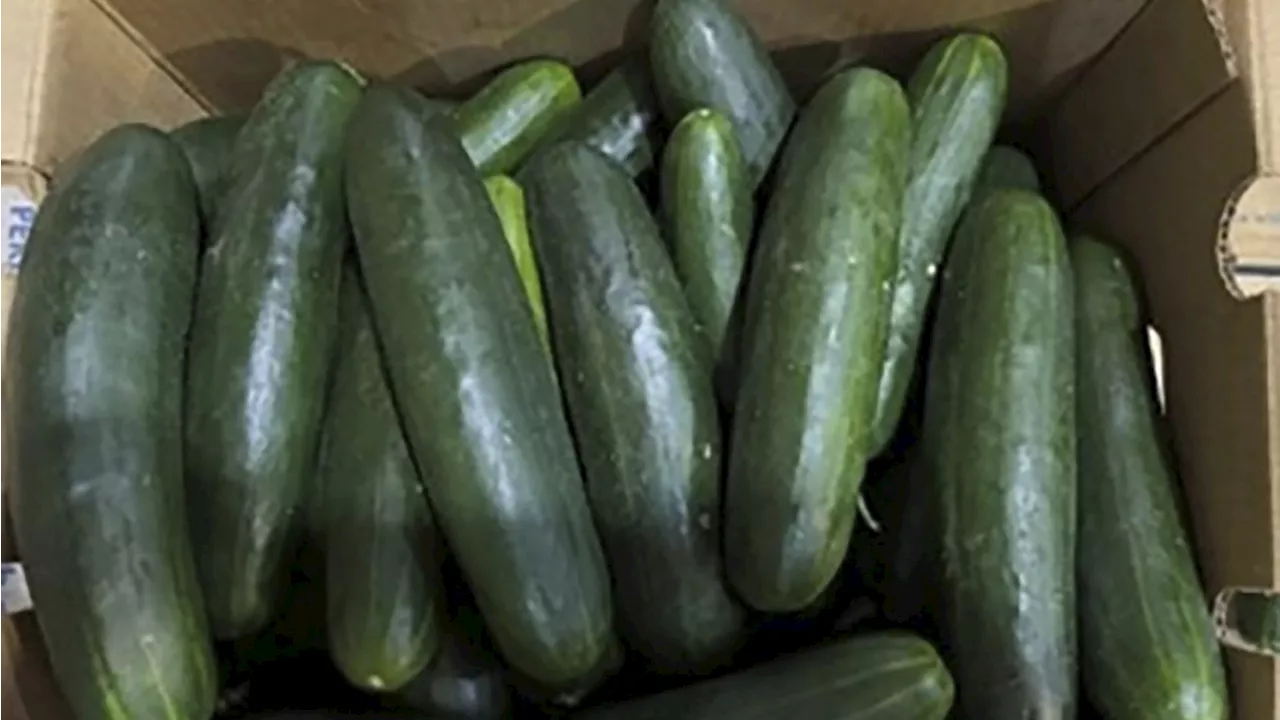 Salmonella Outbreak Linked to Recalled Cucumbers Sickens at Least 16