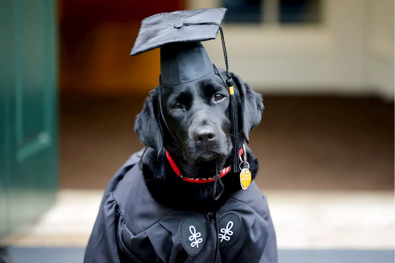 The week in photos: May 24-30, 2025