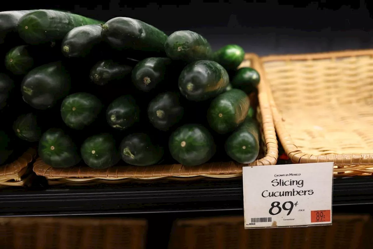 Dozens sickened in expanding salmonella outbreak linked to recalled cucumbers