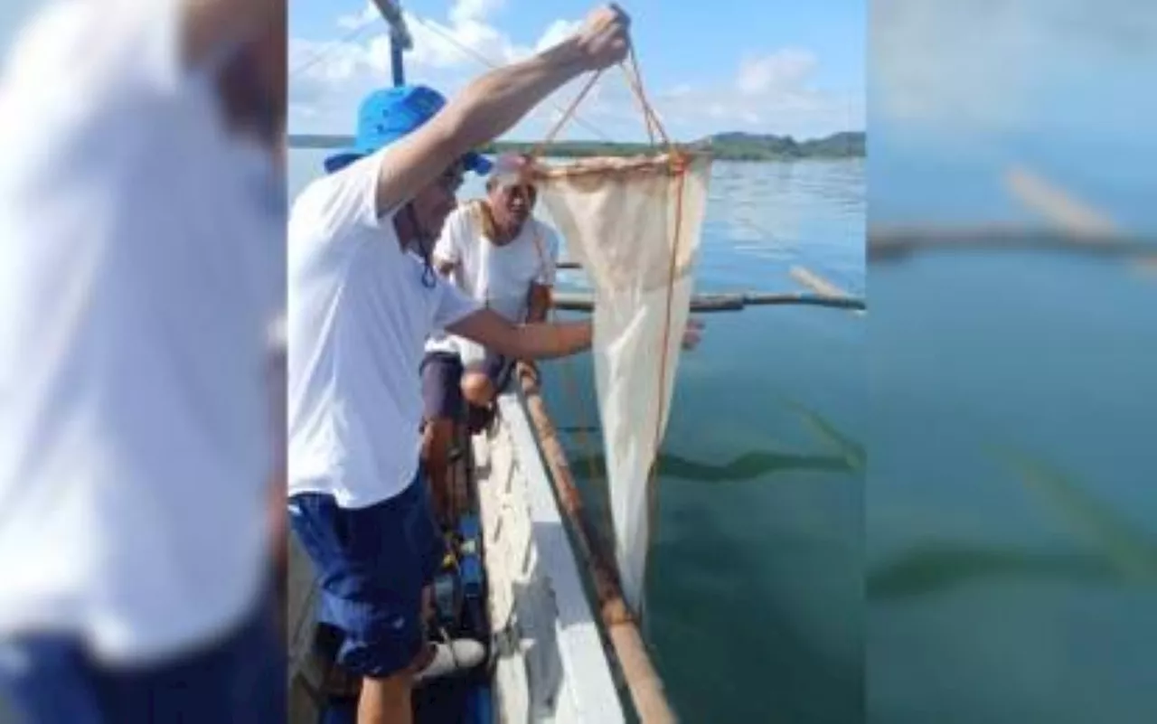 Warming ocean triggers fish kill in Camarines Sur