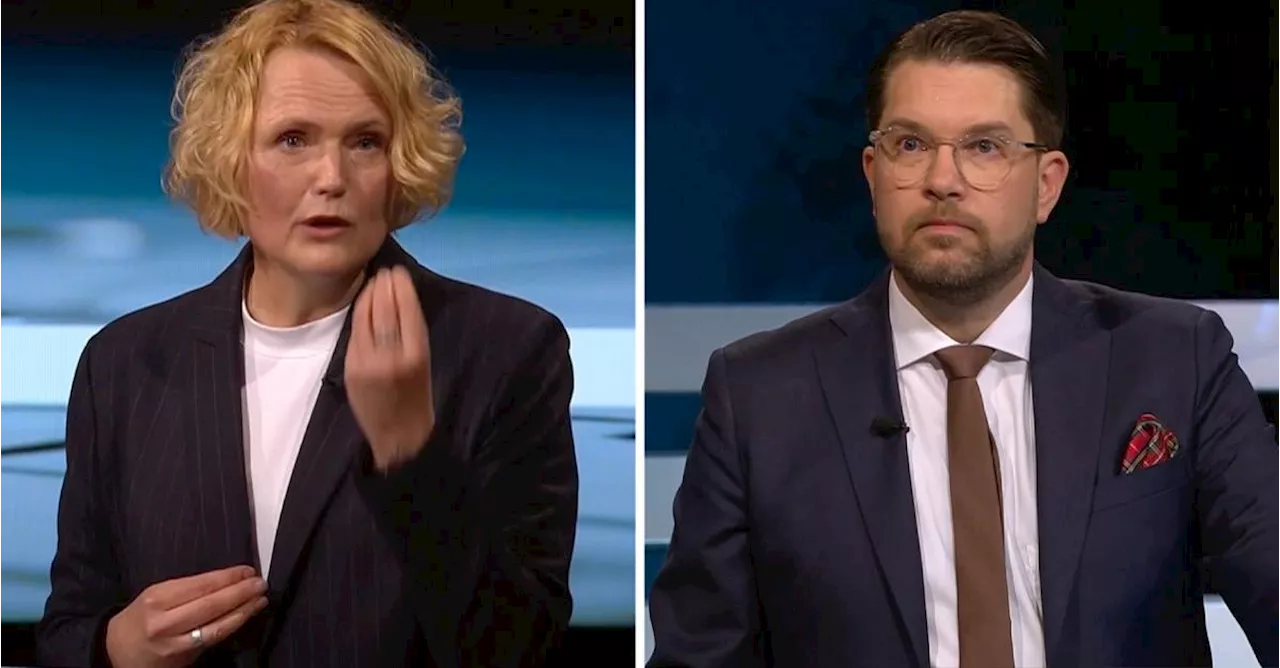 Bråket om SD-kassen för att sänka matpriserna: Läs på