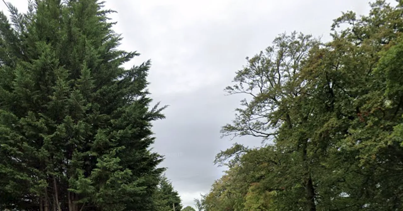 Man Dies in Edinburgh Road Crash Involving Car, Taxi, and Bicycle