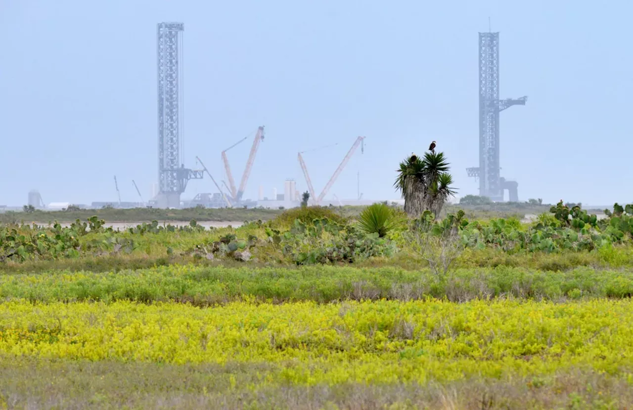 Texas gets a new city: Everything to know about Starbase, Texas
