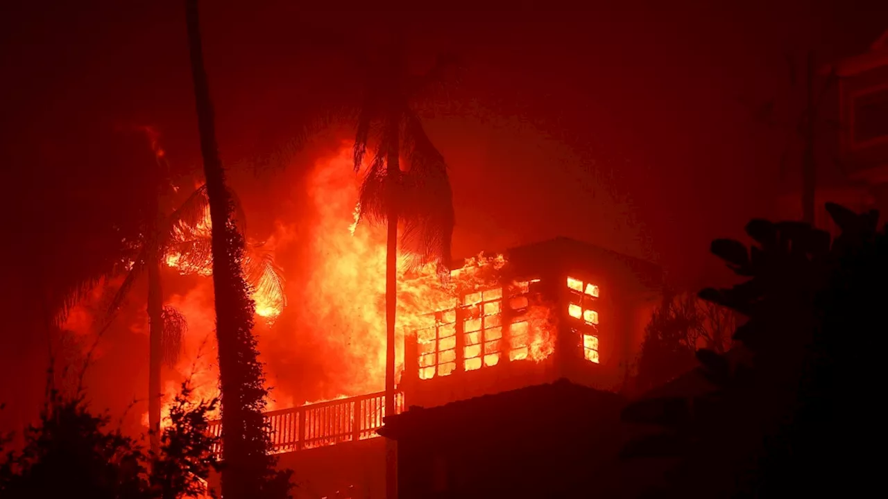 Allianz-Vorstand schlägt Alarm - Klimaschäden – 'Welt in Flammen ist nicht versicherbar'