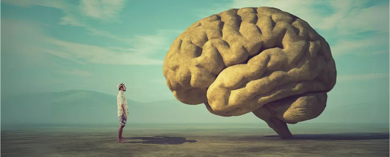 Scientists Don't Know Why Consciousness Exists, And a New Study Proves It