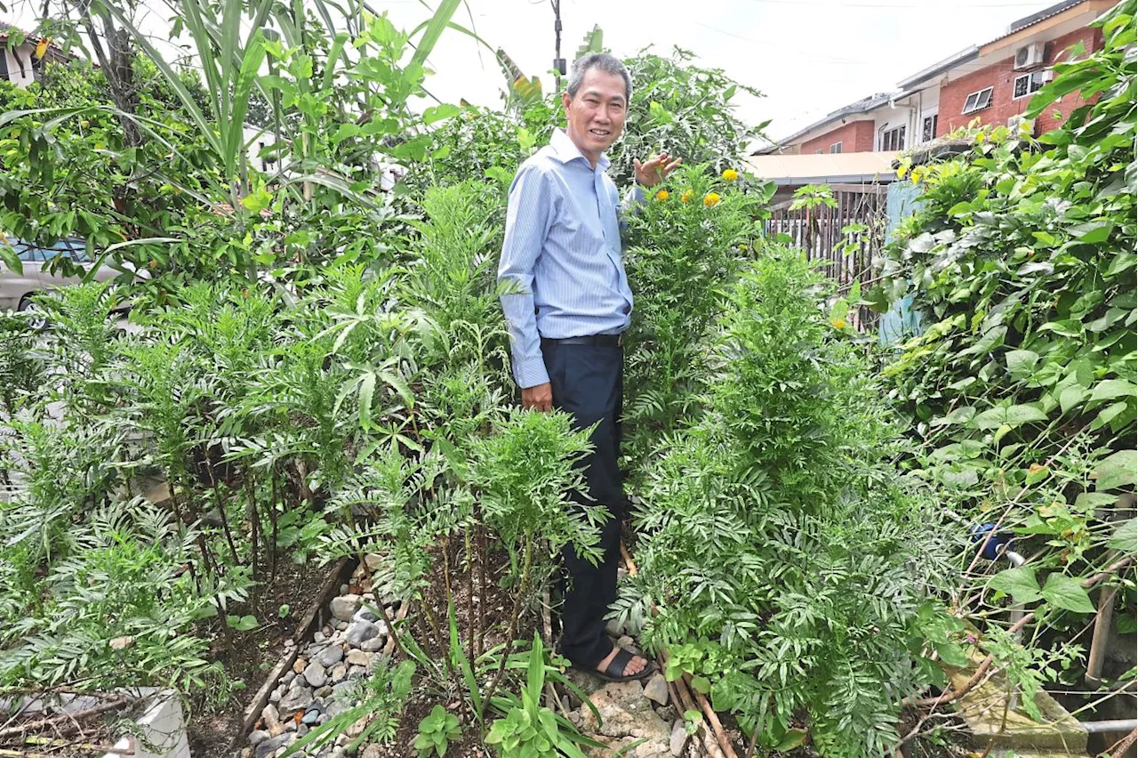 A ‘game changer’ for agriculture