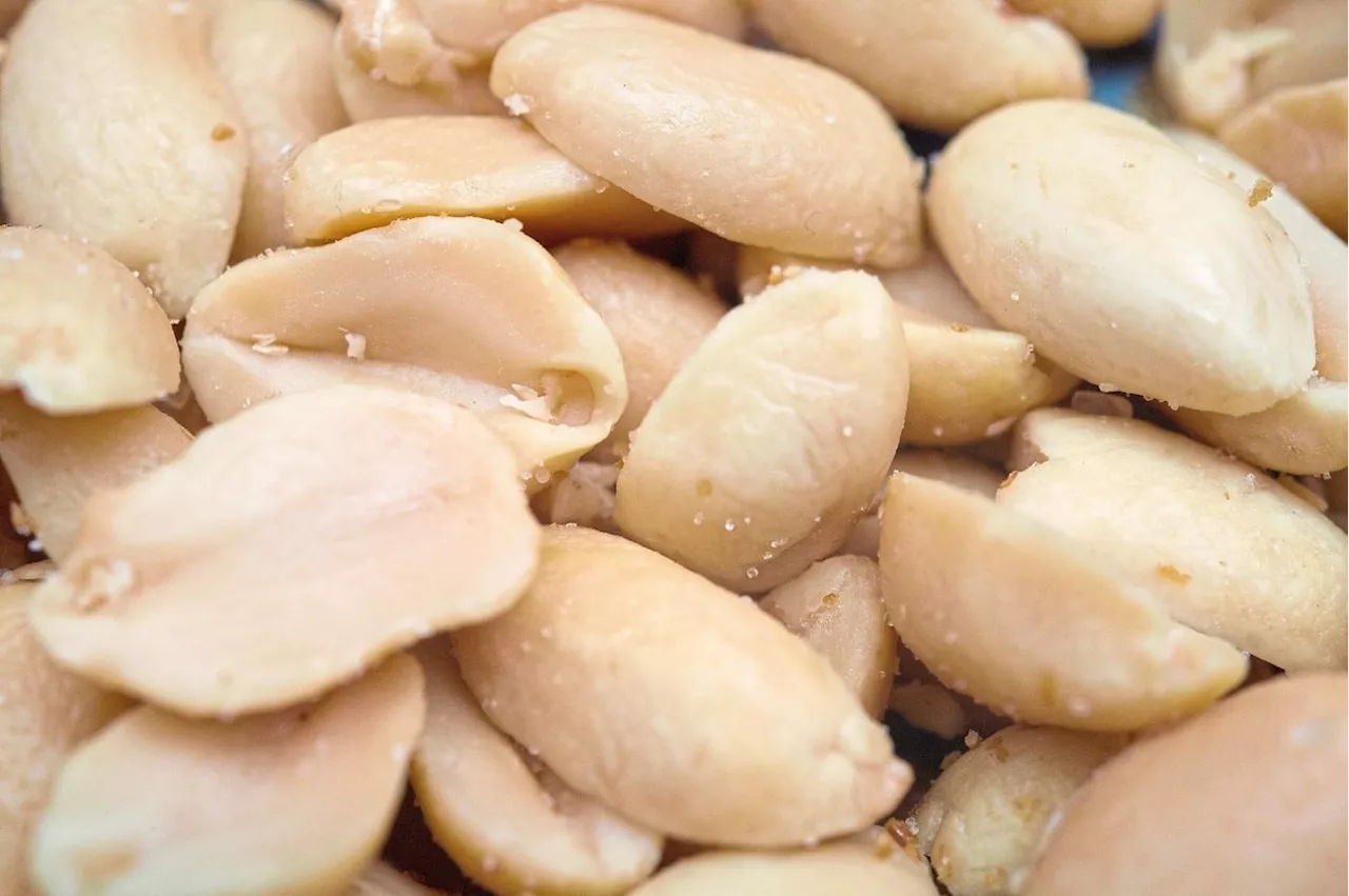 A peanut a day could keep the allergy away
