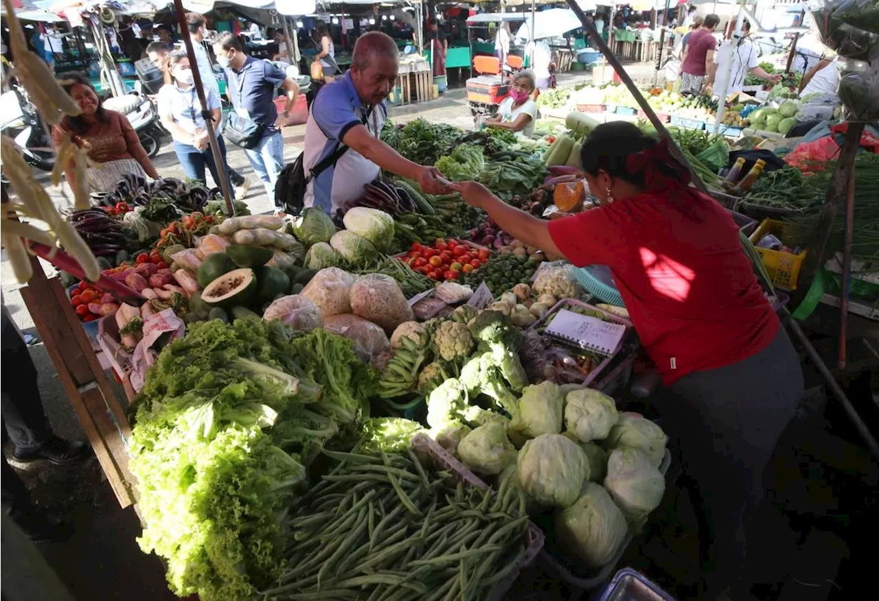Affordable basic goods, services voters' top concern