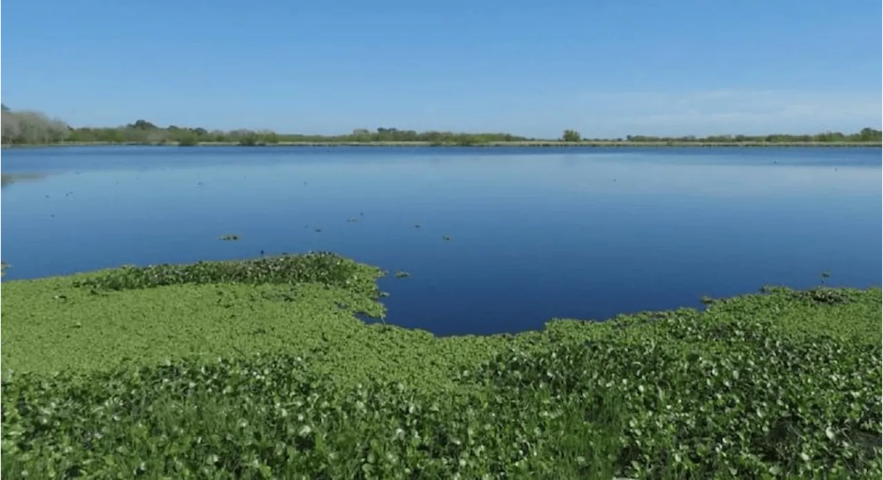 Ni Chascomús ni Lobos: el pueblo con una laguna ideal para una escapada de la ciudad