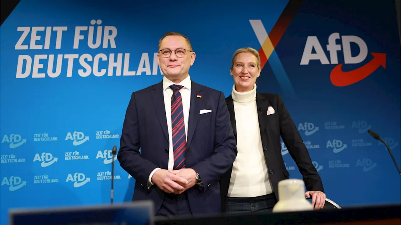 Afd 'di estrema destra', ricorso contro i Servizi. Spd svela il team
