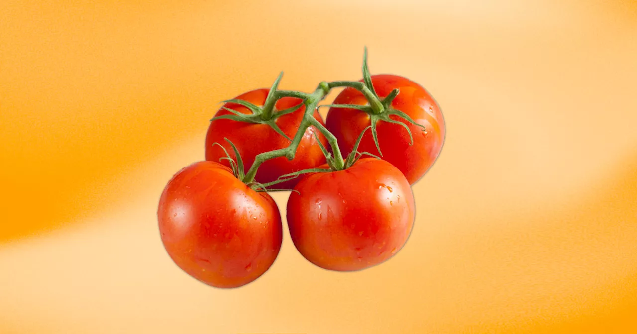 Tomato Recall in 14 States Over Salmonella Risk: Full Product List