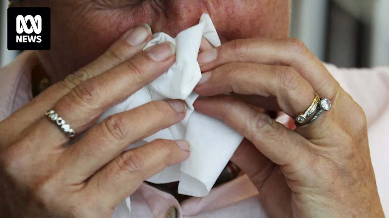 Canberrans encouraged to get vaccinated as influenza cases rise and doctors brace for 'whopper' flu season