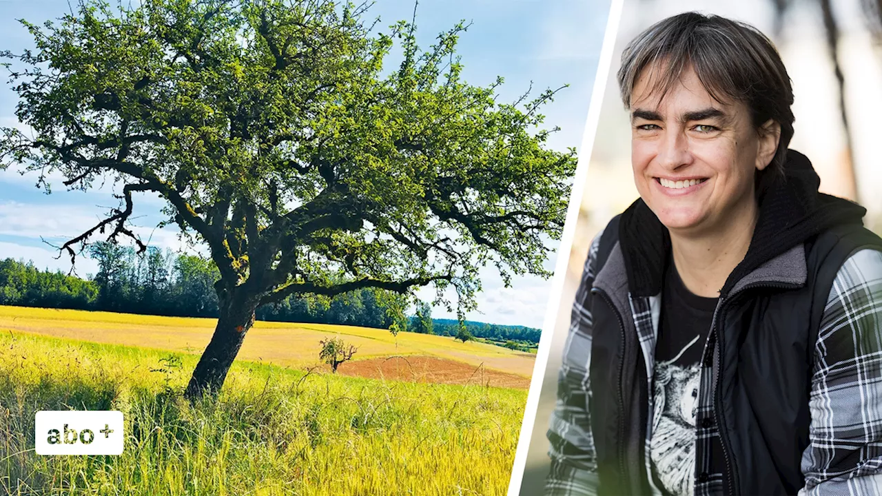 Wandern, wo andere vorbeifahren: Eine Liebeserklärung ans Basler Umland